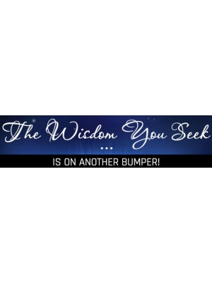 The Wisdom You Seek Bumper Sticker