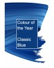Colour of the Year Label