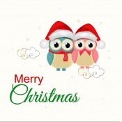 Christmas Owls Label