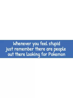  Whenever You Feel Stupid Bumper Sticker